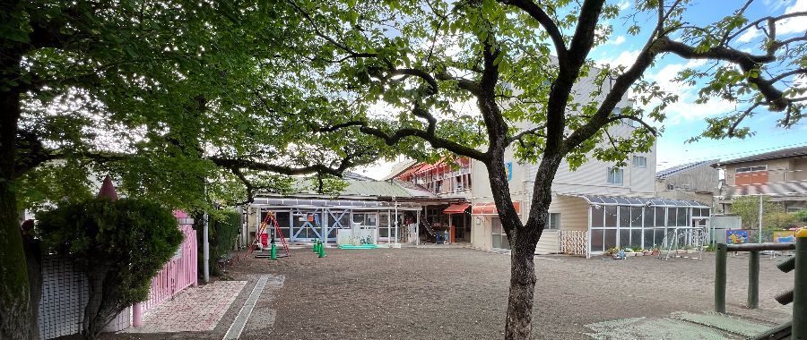 大きな木ごしに見える園庭と園舎