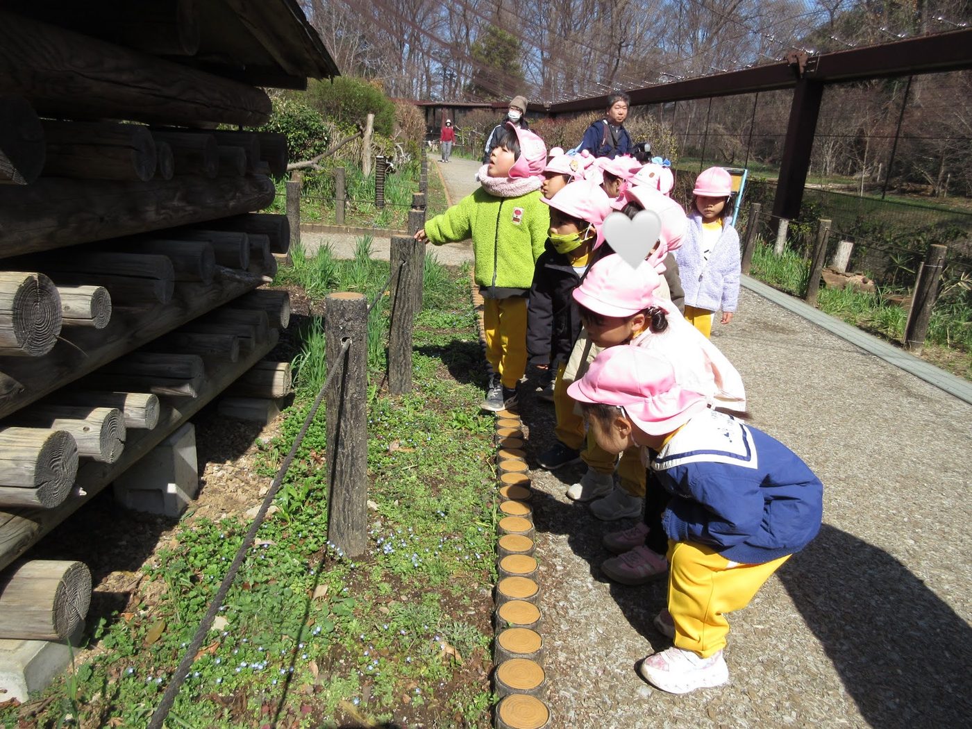市民の森の木道で、丸太の建物をのぞきこむ子どもたちの列